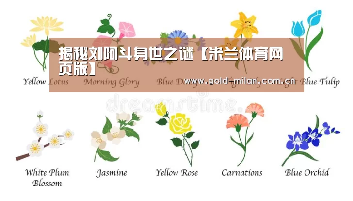 米兰体育网页版
