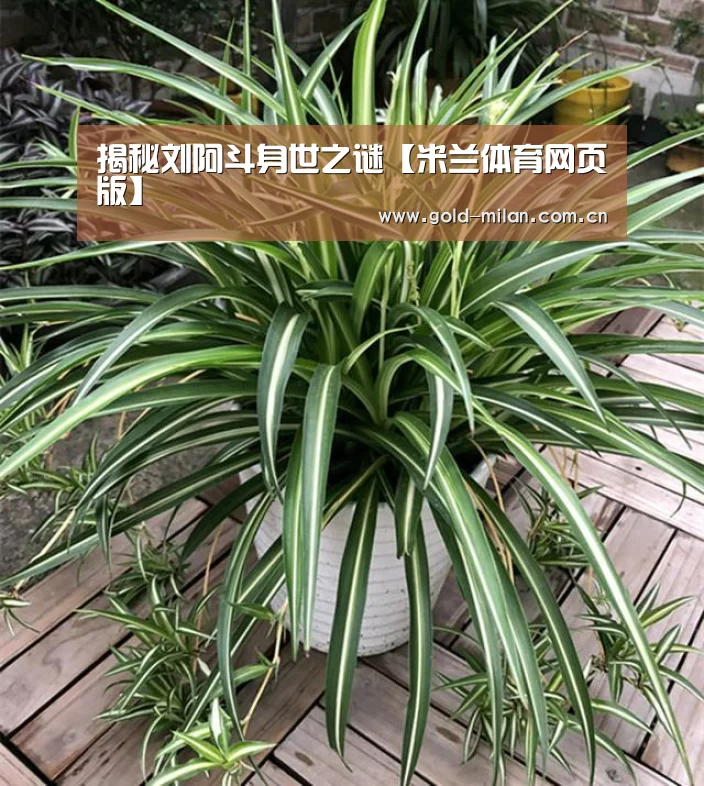 米兰体育网页版