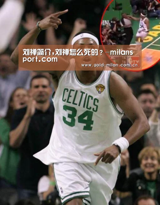 刘禅简介,刘禅怎么死的？-milansport.com(图3)