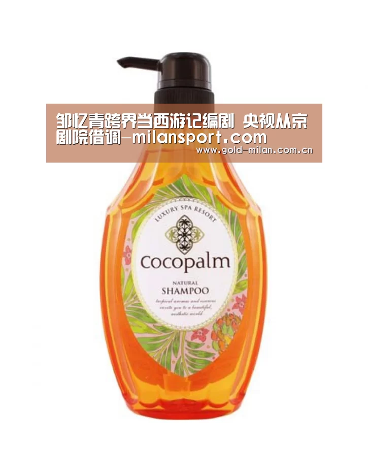 邹忆青跨界当西游记编剧 央视从京剧院借调-milansport.com(图1)