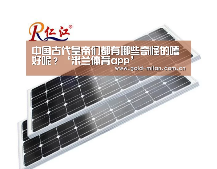 米兰体育app