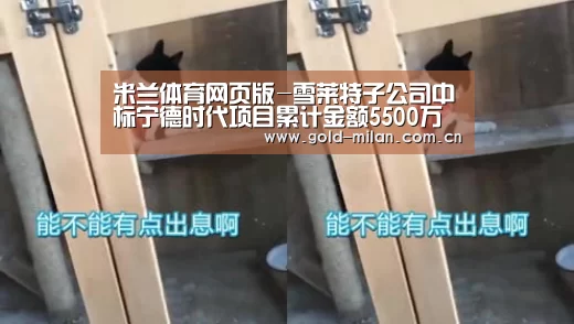 米兰体育app