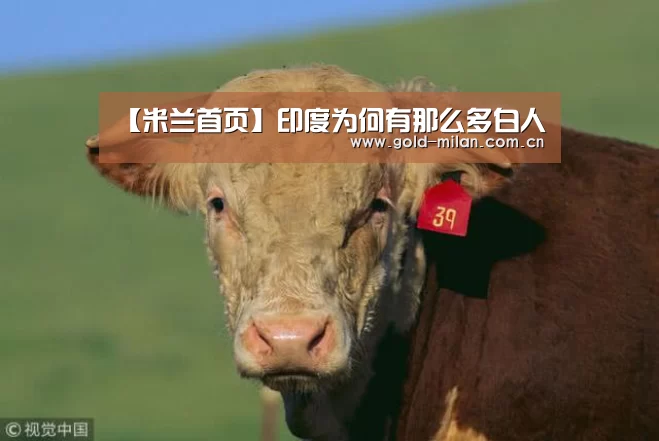 【米兰首页】印度为何有那么多白人(图1) 米兰首页