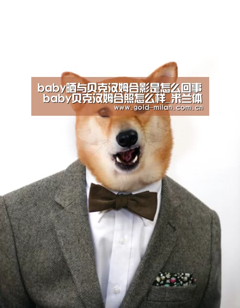 米兰首页
